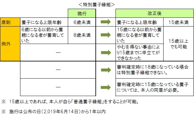 特別養子縁組の民法等改正ポイント