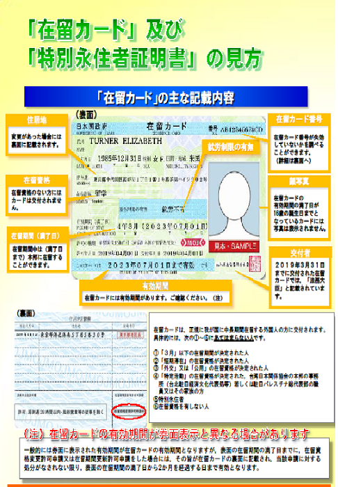 在留カードの見方